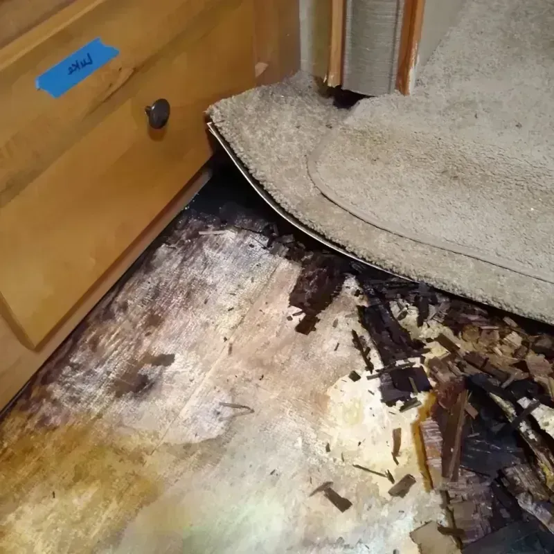 Wood Floor Water Damage in Luverne, MN